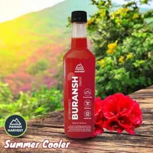 Pahadi Harvest Buransh Squash/Uttarakhand Buransh (Rhododendron) Cooler/100% Natural & Authentic Instant Mix, Syrup, Sharbat, Concentrate/Detoxifies the Body/Reduces Inflammation - 1000 ml PET Bottle